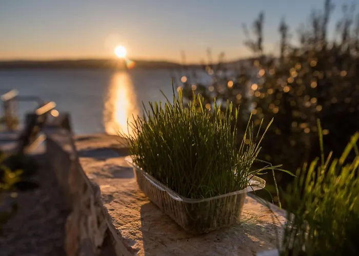 Natura Direkt Am By Interhome * Salatić